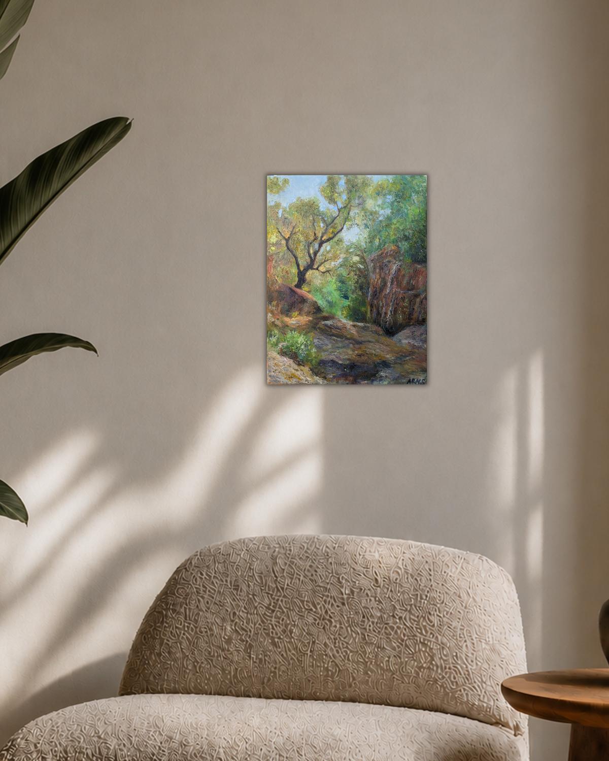 Gorge in Sardinia — shown in a living room setting
