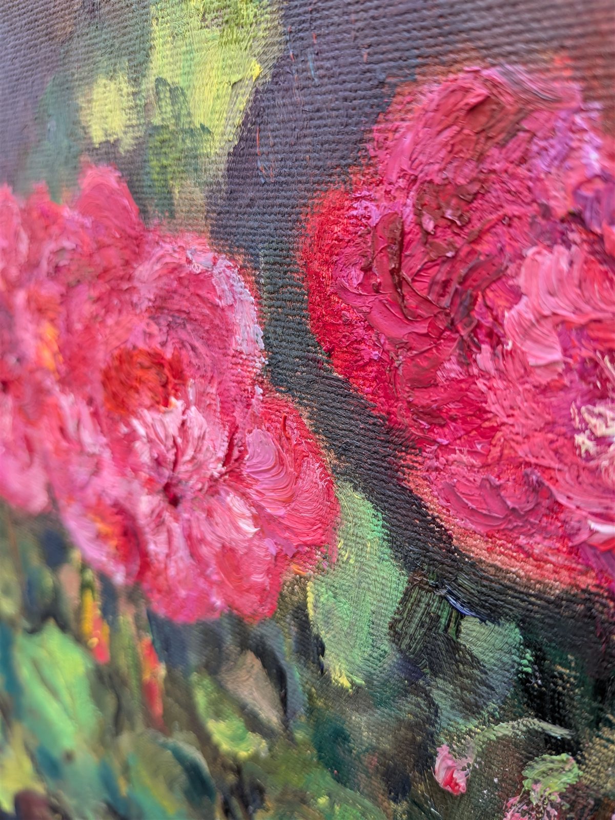 Red Geraniums — Detailansicht im Winkel